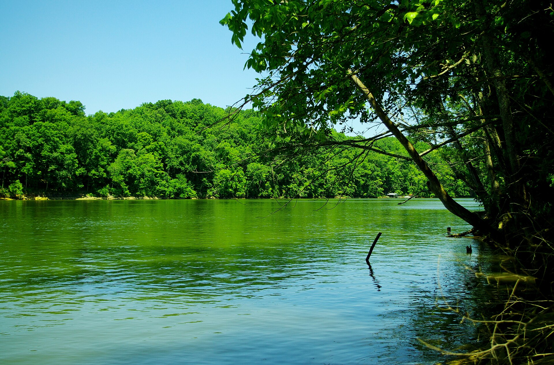 Collins River, Tennessee