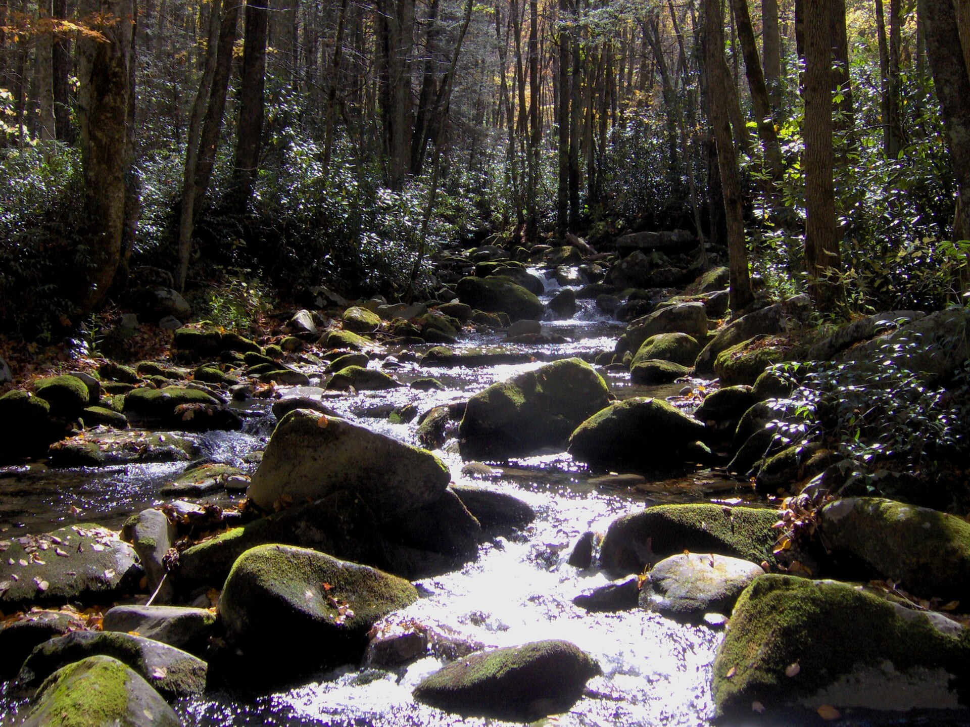 Little River, Tennessee