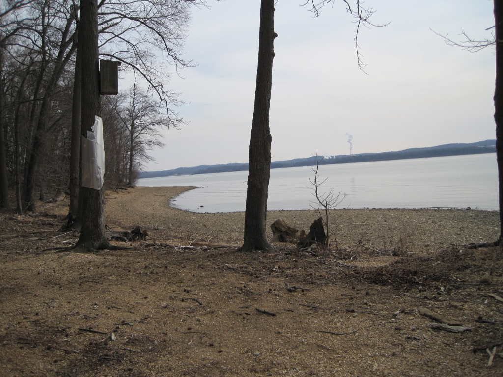 Kentucky Lake, Tennessee