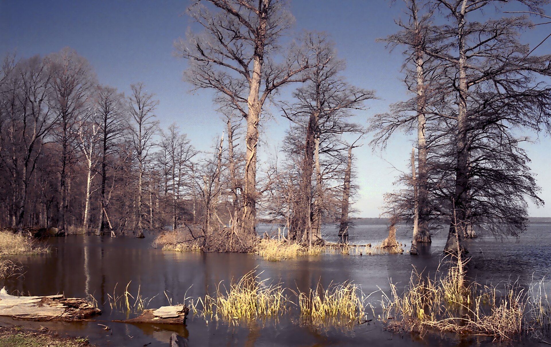 Reelfoot Lake, Tennessee
