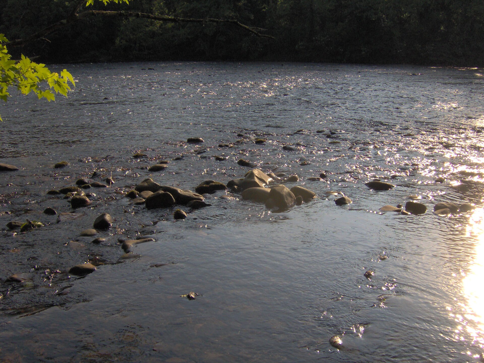 Watauga River, Tennessee