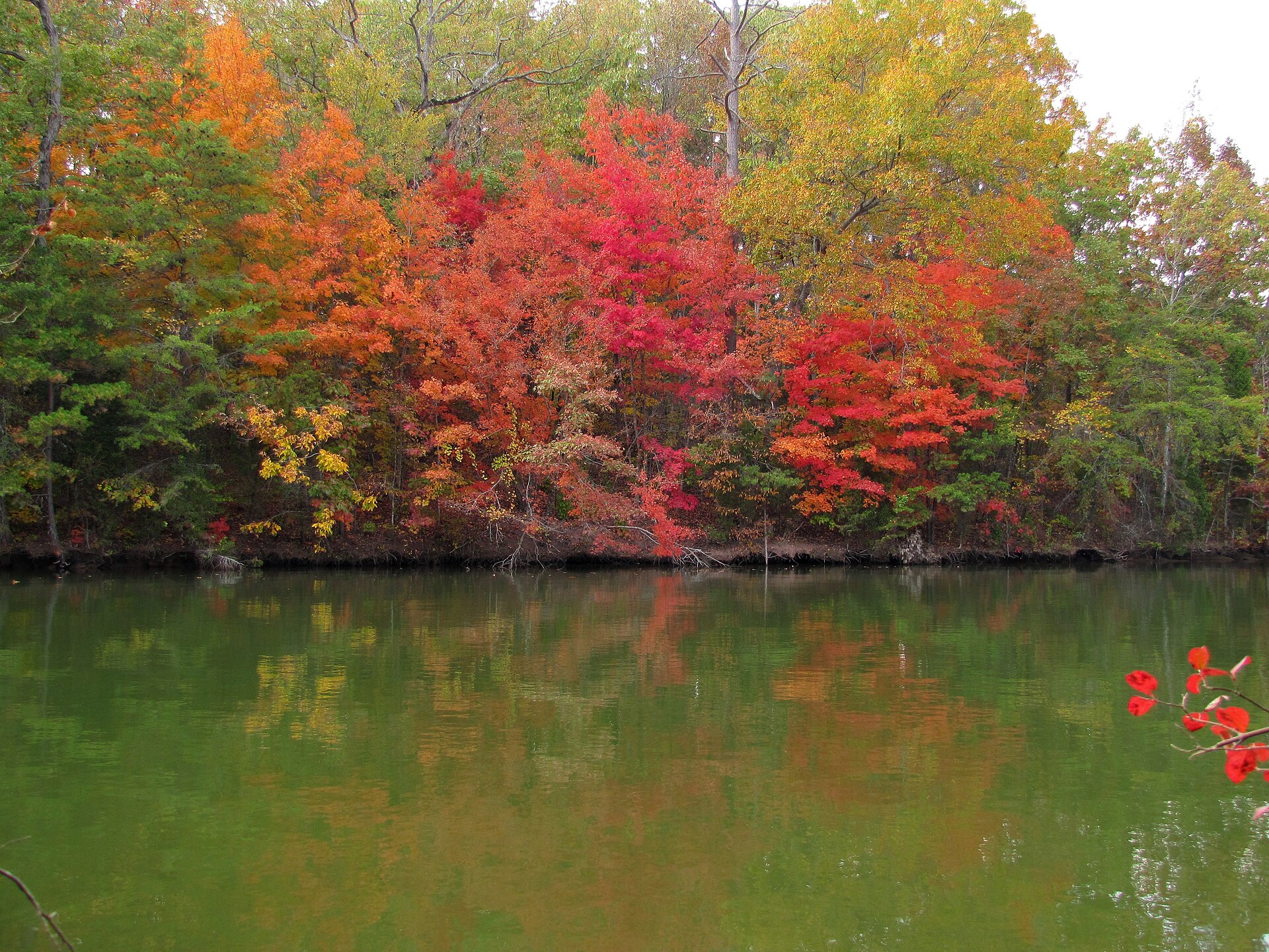 Tellico Lake, Tennessee