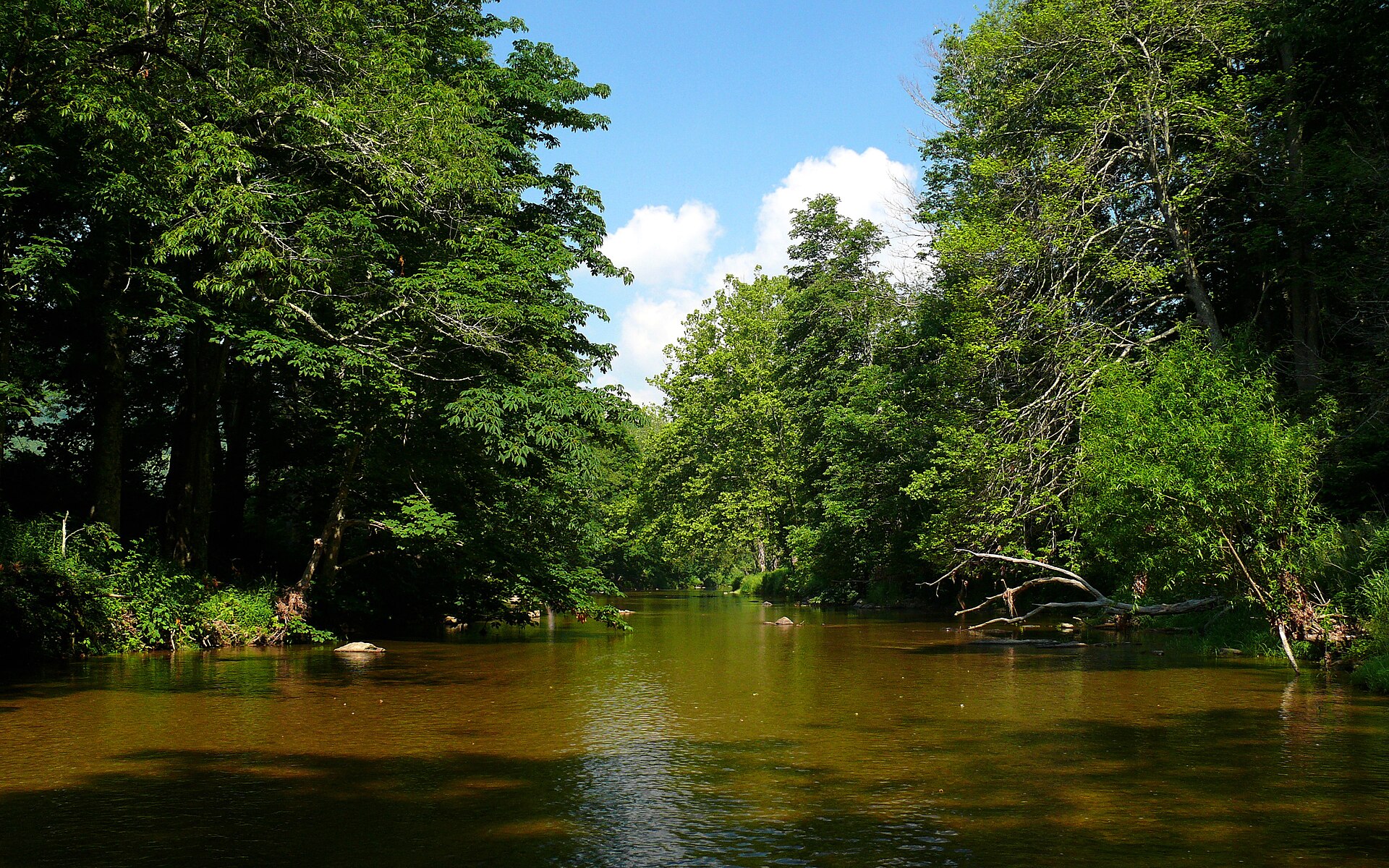 Watauga River, Tennessee