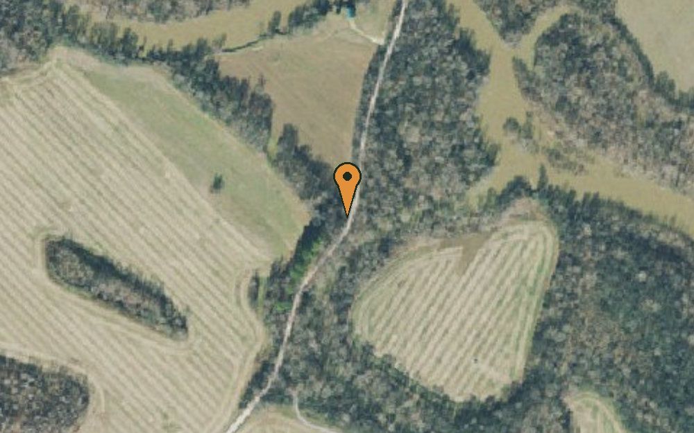 Aerial view of Buffalo River Camping & Canoeing